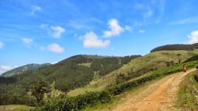 12 acres de hermosas tierras de té en venta en Sri Lanka Central