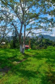 Casa de huéspedes privada en venta - villa en Batumi