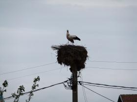La parcela se encuentra en Tankovo.