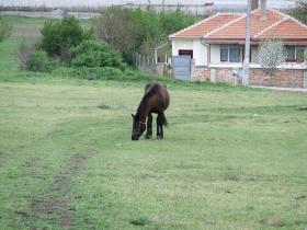 La parcela se encuentra en Tankovo.