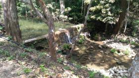 Venta de 87 hectareas de terreno con casa