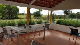 Finca con casa, piscina y amplia vista panorámica