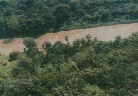Grandes tierras agrícolas con extensos bosques preciosos.