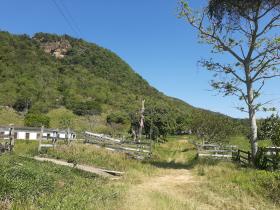Terreno rural apto para la cría de animales también para balneario