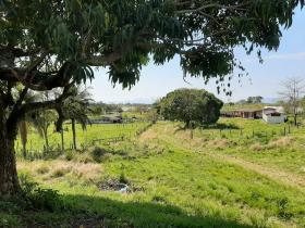 Terreno rural apto para la cría de animales también para balneario