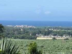 Terreno plano en venta junto a Vipingo Ridge