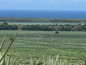 Terreno plano en venta junto a Vipingo Ridge