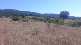 3 terrenos en venta en Kosharitsa