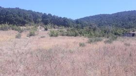 3 terrenos en venta en Kosharitsa