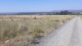 3 terrenos en venta en Kosharitsa