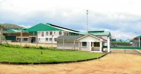 Granja de té a gran escala en Kericho