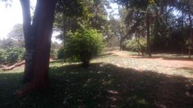 Gran finca comercial de café en venta cerca de la ciudad de Kiambu