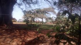 Gran finca comercial de café en venta cerca de la ciudad de Kiambu