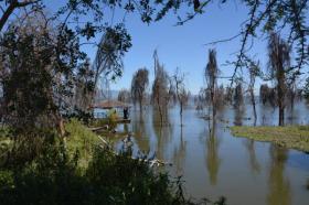 170 acres de propiedad frente al lago a lo largo del lago Naivasha