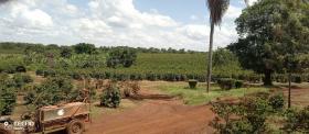 Finca de café de 475 acres en venta en Thika, condado de Muranga