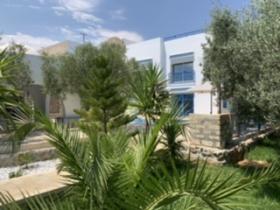 Villa en medio de olivos con vista al mar