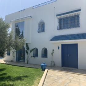 Villa en medio de olivos con vista al mar