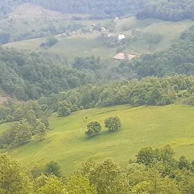 Vendo finca 16 ha terreno con casas y galpón para animales
