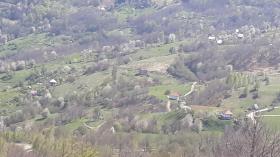 Vendo finca 16 ha terreno con casas y galpón para animales