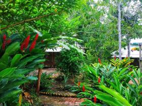 Terreno complejo 70 ha en la selva de Perú cerca del Amazonas en venta urgente