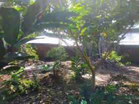 Terreno complejo 70 ha en la selva de Perú cerca del Amazonas en venta urgente
