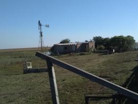 Vendo campo de 2000 hectáreas para cría