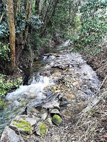 La finca paradisíaca junto al río Rio Ribeira do Neto