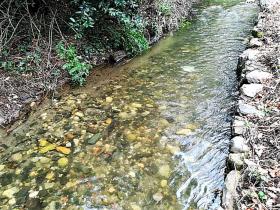 La finca paradisíaca junto al río Rio Ribeira do Neto
