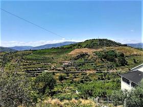 La finca paradisíaca junto al río Rio Ribeira do Neto