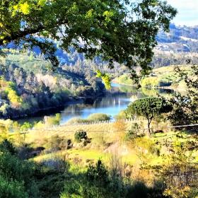 Finca 25000 m2 de terreno con vista al río Tâmeg