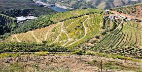 Granja Única en venta en Alto Douro Vinhateiro, Parada do Bispo