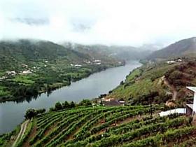 Granja Única en venta en Alto Douro Vinhateiro, Parada do Bispo