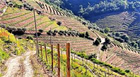 Granja Única en venta en Alto Douro Vinhateiro, Parada do Bispo