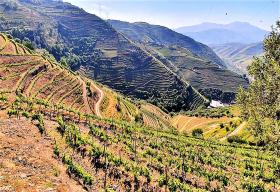 Granja Única en venta en Alto Douro Vinhateiro, Parada do Bispo