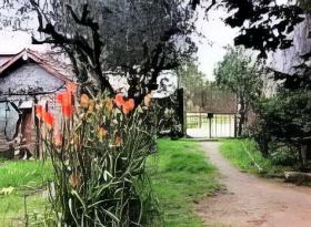 Amplia propiedad a reformar, 13.680m2 de parcela