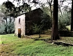 Amplia propiedad a reformar, 13.680m2 de parcela