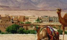 800 ha de terreno propuesta ideal para inversionistas