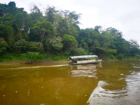 Exquisito terreno en venta en bosque de Iquitos cerca del aeropuerto