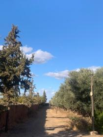 Venta finca titulada de 2 ha