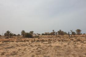 Terreno edificable con vista al mar en la isla de Djerba