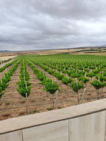 Busco vender finca de 30 ha o socio economico