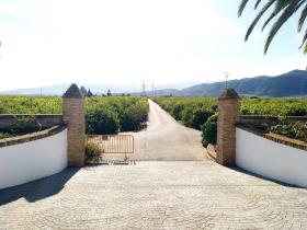 Privacidad absoluta en 12 hectáreas bellamente mantenidas