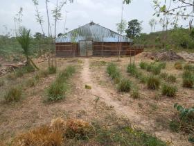 Vendo finca agrícola 1.83 ha