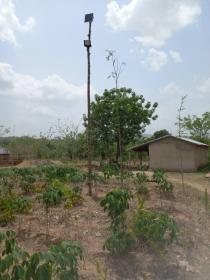 Vendo finca agrícola 1.83 ha