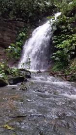 La finca de 71 ha con cascadas que nacen en las montañas