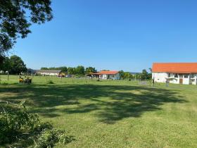 Granja de caballos en el lago Balaton