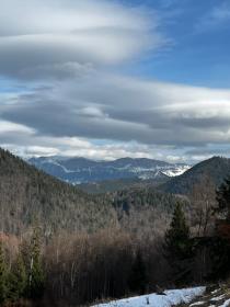 Terreno edificable 30.000 m2 + superficie forestal 20.000 m2