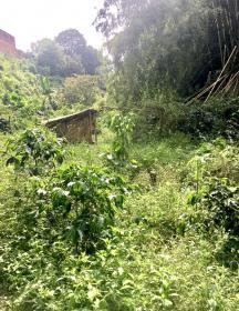 Terreno en el eje cafetero para proyecto turístico