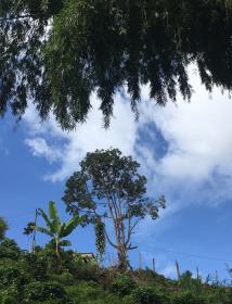 Terreno en el eje cafetero para proyecto turístico