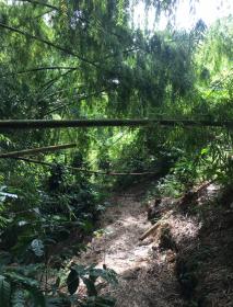 Terreno en el eje cafetero para proyecto turístico